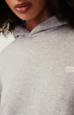 Damen American Vintage |Damenkapuzensweatshirt Kodytown Vlies Meliert